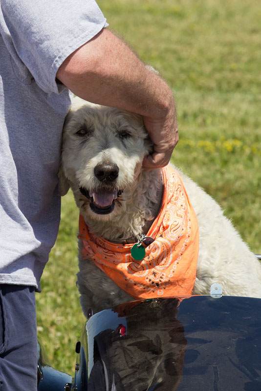 bark_park_060714_6652_cropx