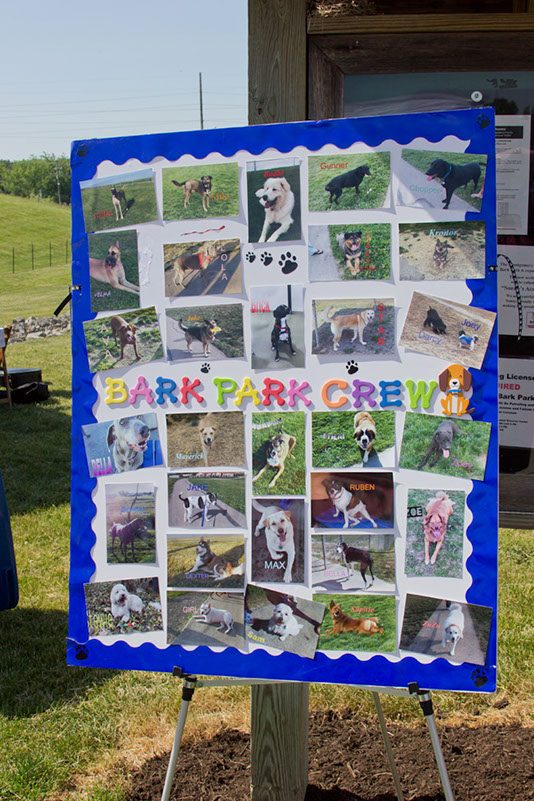 bark_park_060714_6476x