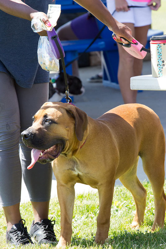 bark_park_060714_6641x